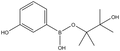 3-Hydroxyphenylboronic acid pinacol ester 1g