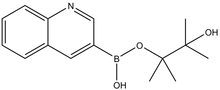 Quinoline-3-boronic acid pinacol ester 1g
