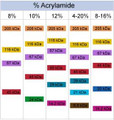 SDS-PAGE Run % Acylamide Comparison