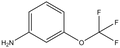 3-(Trifluoromethoxy)aniline 25g