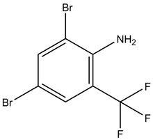 2,4-Dibromo-6-(trifluoromethyl)aniline 25g