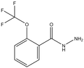 2-(Trifluoromethoxy)benzoic acid hydrazide 1g