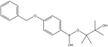 4-(Benzyloxy)phenylboronic acid pinacol ester 1g