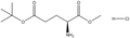 H-Glu(OtBu)-OMe HCl 1g