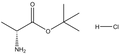 D-Alanine tert-butyl ester HCl 1g
