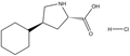 trans-4-Cyclohexyl-L-proline hydrochloride 1g
