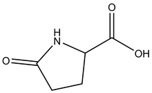 DL-Pyroglutamic acid 100g