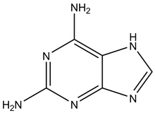 2,6-Diaminopurine 1g