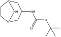 endo-3-(BOC-amino)-8-azabicyclo[3.2.1]octane 250mg