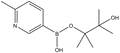 2-Picoline-5-boronic acid pinacol ester