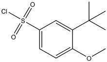 3-tert-Butyl-4-methoxy-benzenesulfonyl chloride
