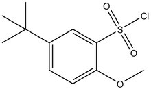 5-tert-Butyl-2-methoxy-benzenesulfonyl chloride