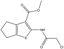 2-(2-Chloro-acetylamino)-5,6-dihydro-4H-cyclo-penta[b]thiophene-3-carboxylic acid methyl ester 500mg