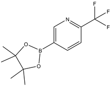 5-(4,4,5,5-Tetramethyl-1,3,2-dioxaborolan-2-yl)-2-(trifluoromethyl)pyridine 500mg