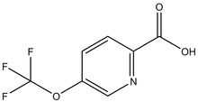 5-(Trifluoromethoxy)pyridine-2-carboxylic acid 250mg