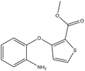 Methyl 3-(2-aminophenoxy)-2-thiophenecarboxylate 500mg