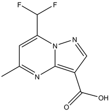 7-Difluoromethyl-5-methyl-pyrazolo-[1,5-a]pyrimidine-3-carboxylic acid, 500mg