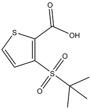 3-(2-Methyl-propane-2-sulfonyl)-thiophene-2-carboxylic acid 500mg