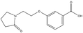3-[2-(2-Oxo-pyrrolidin-1-yl)-ethoxy]-benzoic acid 500mg