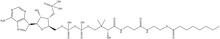 Octanoyl coenzyme A 