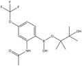 2-Acetamido-4-(trifluoromethoxy)phenylboronic acid pinacol ester 