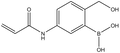 5-Acrylamido-2-(hydroxymethyl)phenylboronic acid 
