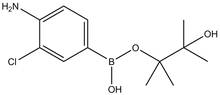 4-Amino-3-chlorophenylboronic acid pinacol ester 