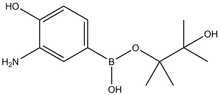 3-Amino-4-hydroxyphenylboronic acid pinacol ester 