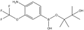 4-Amino-3-(trifluoromethoxy)phenylboronic acid pinacol ester 