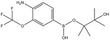 4-Amino-3-(trifluoromethoxy)phenylboronic acid pinacol ester 
