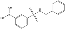 N-Benzyl 3-boronobenzenesulfonamide 