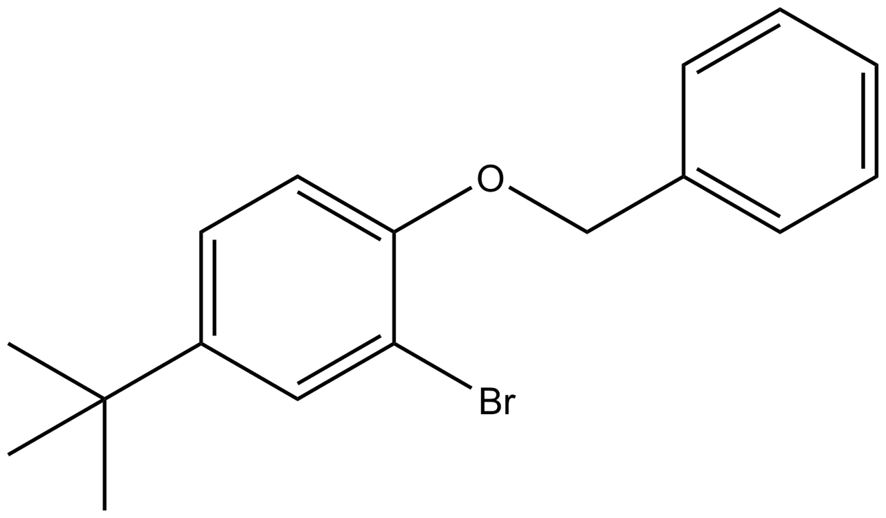 1-Benzyloxy-2-bromo-4-t-butylbenzene | CAS 52458-11-4 | P212121 Store