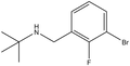1-Bromo-3-(t-butylaminomethyl)-2-fluorobenzene 
