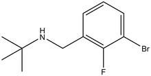 1-Bromo-3-(t-butylaminomethyl)-2-fluorobenzene 