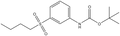 t-Butyl N-[3-(butane-1-sulfonyl)phenyl]carbamate 