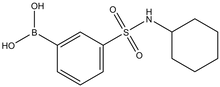 N-Cyclohexyl 3-boronobenzenesulfonamide