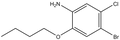 4-Bromo-2-butoxy-5-chloroaniline 