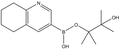 5,6,7,8-Tetrahydroquinoline-3-boronic acid pinacol ester 