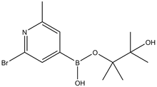 2-Bromo-6-methylpyridine-4-boronic acid pinacol ester 