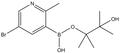 5-Bromo-2-methylpyridine-3-boronic acid pinacol ester 