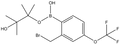 2-Bromomethyl-4-trifluoromethoxyphenylboronic acid pinacol ester