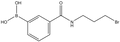N-(3-Bromopropyl) 3-boronobenzamide 