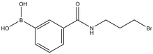 N-(3-Bromopropyl) 3-boronobenzamide 