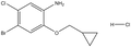 4-Bromo-5-chloro-2-(cyclopropylmethoxy)aniline HCl 