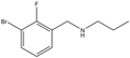 1-Bromo-2-fluoro-3-(propylaminomethyl)benzene