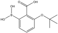 3-t-Butoxycarboxyphenylboronic acid