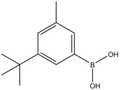 3-t-Butyl-5-methylphenylboronic acid 