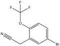 2-[5-Bromo-2-(trifluoromethoxy)phenyl]acetonitrile 