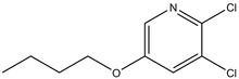 5-Butoxy-2,3-dichloropyridine 