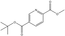 5-t-Butyl 2-methyl pyridine-2,5-dicarboxylate 